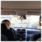 andreas_ktrs