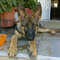 MARINOS_GIANNAKOYLIAS