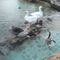 Viky_Eyagelopoulou