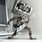 Steve_Gogal