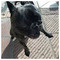 George_Kirkos72