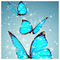 Maria_Misemike_2