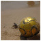 Dimitris_A65
