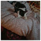 Sofi_T56
