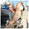 PANAYIOTIS_DIMAKIS