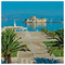 giorgos_tsetsenis