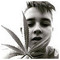 Dennis_Zun_