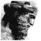 Daniel_Plato