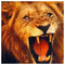 Patr_80_GLz