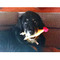 Christina_Economou3