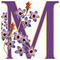Mirsini_Zr