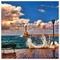 Yannis_Bistogiannakis