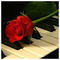 thanasis518
