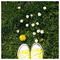 spirou_g