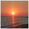 Roberta_Fanti