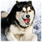 ARISTOTELIS_DIMITRIADIS30