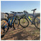 MTB_Brothers