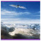 Angel_Natural