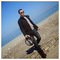 Dimitris_Axarlis