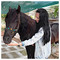 Lydia_Dimosthenous