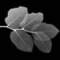 Dimitris_75111