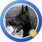 geo_alachouzou
