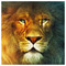 constantinos_aslanides