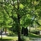 Dimarvan7