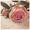 valency93