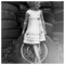 arie__1_arena