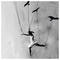 Myrto_Glarou6504