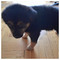 Billy_Joe_Ragma