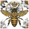 George_george14513