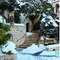 nick_palierakis6548