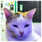 Ioannis_Karpontinis6109