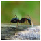 Emmanouil_Anastasakis9161
