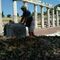 thanasis562900