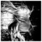 Evi_Radou
