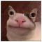 spyroskomis4