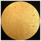 euporia_contact