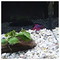 Ioanna_Mpoura8503