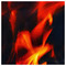 kostas_kbs6265