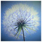 Filanthi_Lagiou