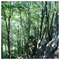 G_Poul7339