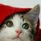 yakinthos_63