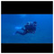 Giannis_Vergos7682