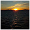 dimitris_a981