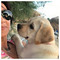Angeliki_Lysandrou