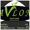 giorgos_avlonitis