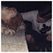 Alexandros_Karasaridis
